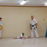 Pokaz karate