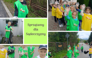 Sprzątamy dla Sądeczyzny