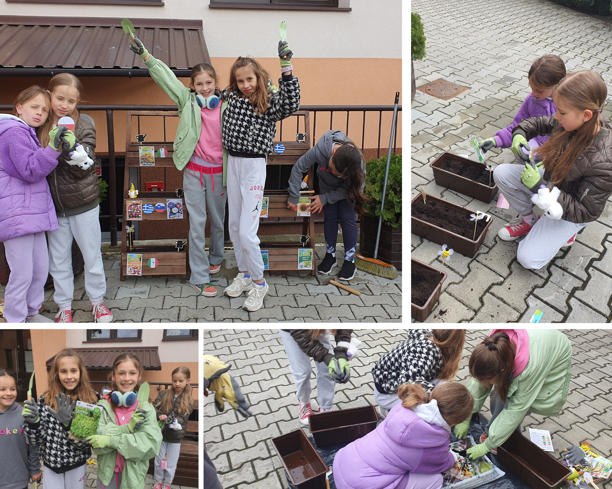 Kolaż zdjęć przedstawiający uczennice podczas siewu warzyw i kwiatów