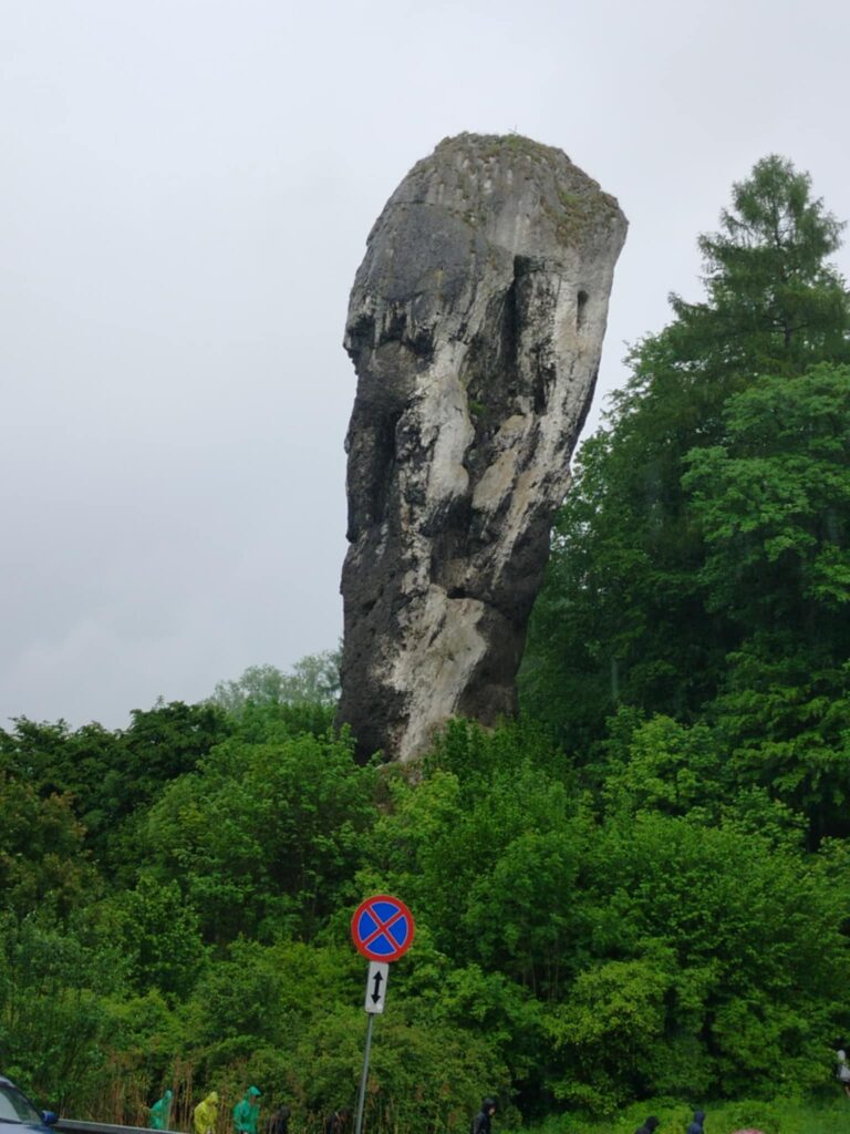 Maczuga Herkulesa