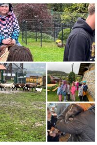 Kolaż zdjęć - dzieci w mini zoo.
