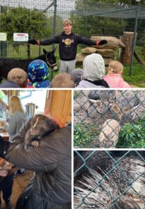 Kolaż zdjęć - wizyta w mini zoo.