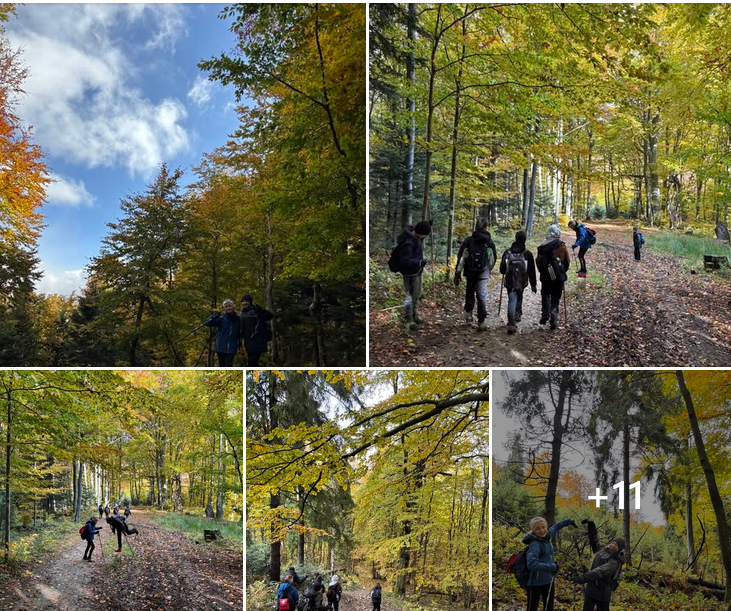 "ku szczytom" - nazwa szkolnego koła