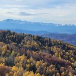 Widok z wieży widokowej na Tatry