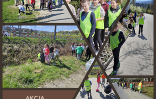 Kolaż zdjęć prezentujących uczniów podczas sprzątania wsi